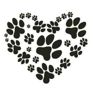 Meet your Posher, Jean